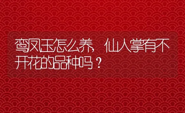 鸾凤玉怎么养,仙人掌有不开花的品种吗？ | 养殖常见问题