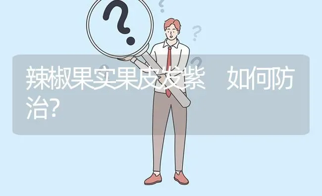 辣椒果实果皮发紫 如何防治? | 养殖问题解答