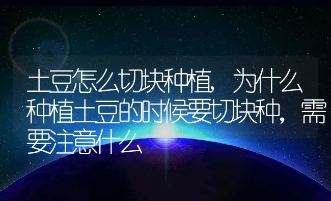 土豆怎么切块种植,为什么种植土豆的时候要切块种，需要注意什么 | 养殖常见问题