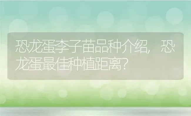 恐龙蛋李子苗品种介绍,恐龙蛋最佳种植距离？ | 养殖常见问题