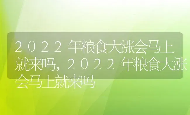 2022年粮食大涨会马上就来吗,2022年粮食大涨会马上就来吗 | 养殖常见问题