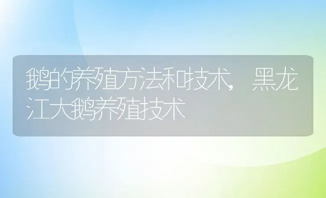 鹅的养殖方法和技术,黑龙江大鹅养殖技术 | 养殖常见问题