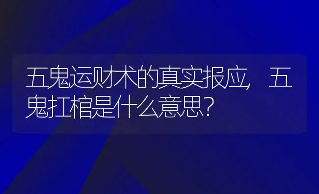 五鬼运财术的真实报应,五鬼扛棺是什么意思？ | 养殖常见问题