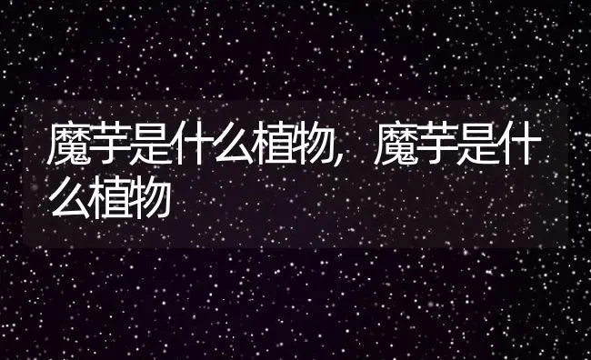 魔芋是什么植物,魔芋是什么植物 | 养殖常见问题