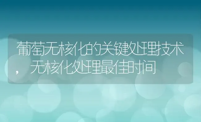 葡萄无核化的关键处理技术,无核化处理最佳时间 | 养殖常见问题