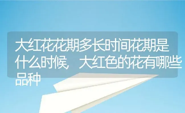 大红花花期多长时间花期是什么时候,大红色的花有哪些品种 | 养殖常见问题