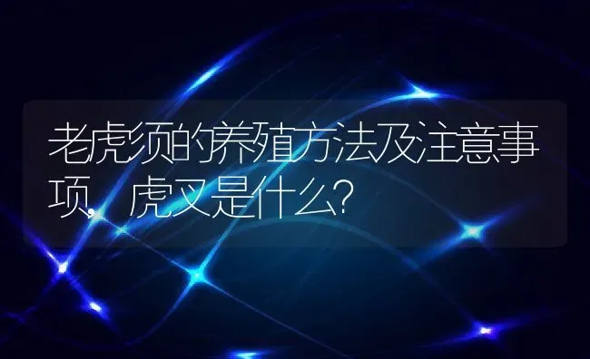 老虎须的养殖方法及注意事项,虎叉是什么？ | 养殖常见问题