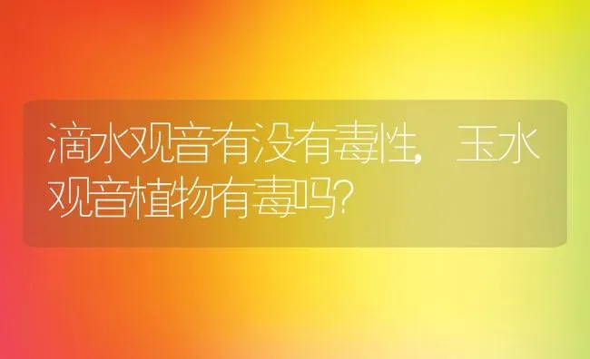 滴水观音有没有毒性,玉水观音植物有毒吗？ | 养殖常见问题