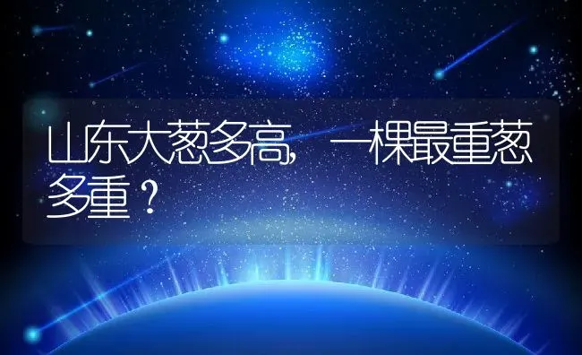 山东大葱多高,一棵最重葱多重？ | 养殖常见问题