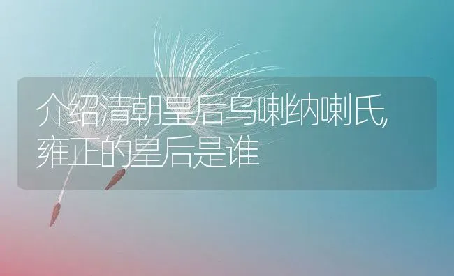 介绍清朝皇后乌喇纳喇氏,雍正的皇后是谁 | 养殖常见问题