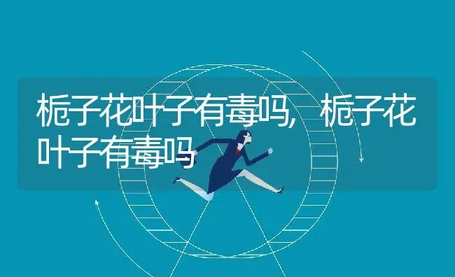 栀子花叶子有毒吗,栀子花叶子有毒吗 | 养殖常见问题