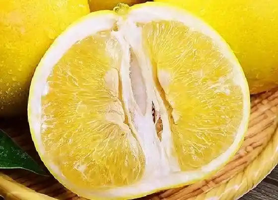 植物常识问题|西柚和柚子的区别