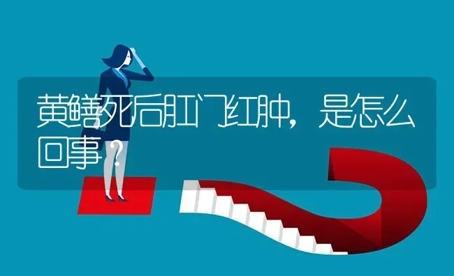 黄鳝死后肛门红肿,是怎么回事? | 养殖问题解答