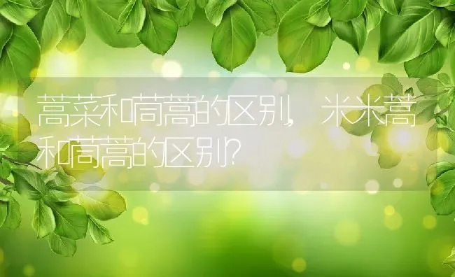 蒿菜和茼蒿的区别,米米蒿和茼蒿的区别？ | 养殖常见问题