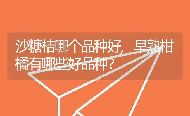 沙糖桔哪个品种好,早熟柑橘有哪些好品种？ | 养殖常见问题