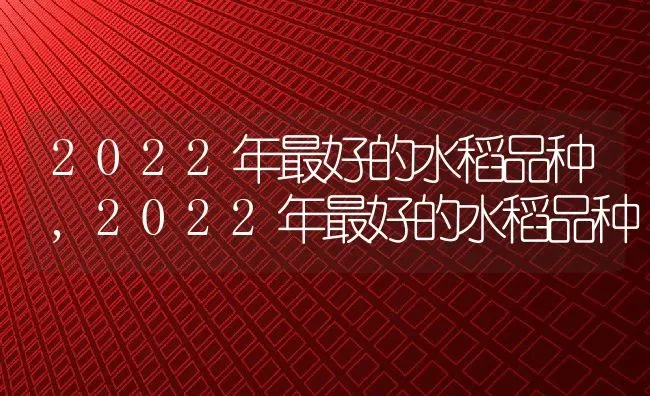 2022年最好的水稻品种,2022年最好的水稻品种 | 养殖常见问题