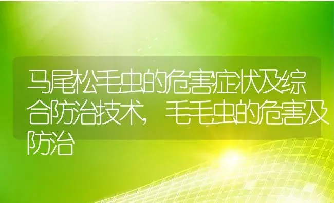 马尾松毛虫的危害症状及综合防治技术,毛毛虫的危害及防治 | 养殖常见问题