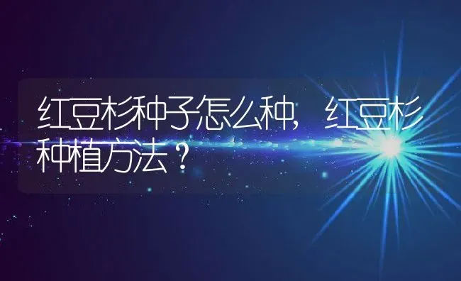 红豆杉种子怎么种,红豆杉种植方法？ | 养殖常见问题