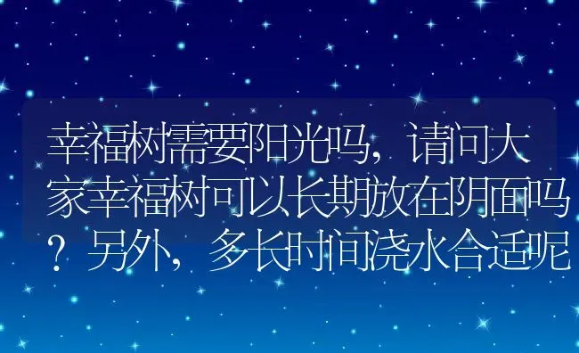 幸福树需要阳光吗,请问大家幸福树可以长期放在阴面吗？另外，多长时间浇水合适呢？对光照的要求高吗？谢谢大家了？ | 养殖常见问题