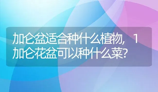 加仑盆适合种什么植物,1加仑花盆可以种什么菜？ | 养殖常见问题