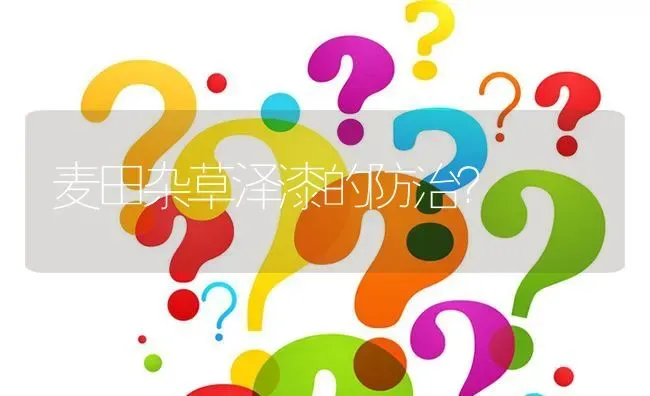 麦田杂草泽漆的防治? | 养殖问题解答