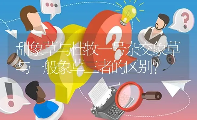 甜象草与桂牧一号杂交象草与一般象草三者的区别? | 养殖问题解答