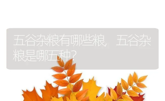 五谷杂粮有哪些粮,五谷杂粮是哪五种？ | 养殖常见问题