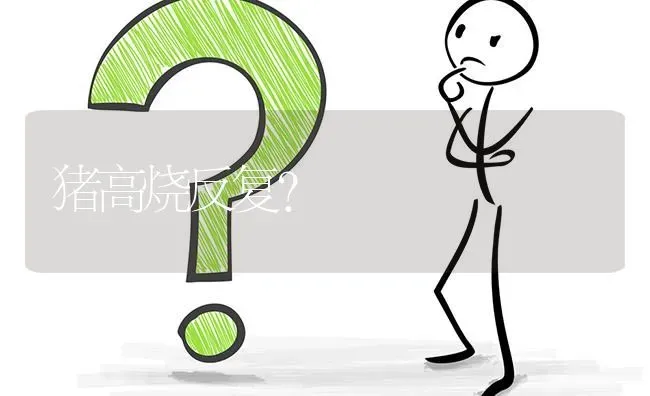 猪高烧反复? | 养殖问题解答