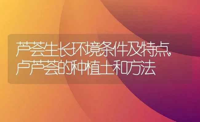 芦荟生长环境条件及特点,卢芦荟的种植土和方法 | 养殖常见问题