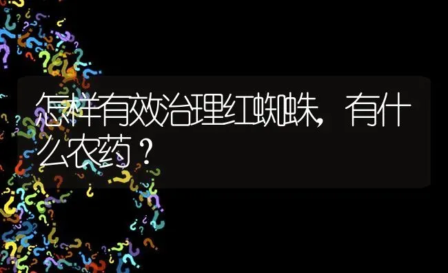 怎样有效治理红蜘蛛,有什么农药? | 养殖问题解答