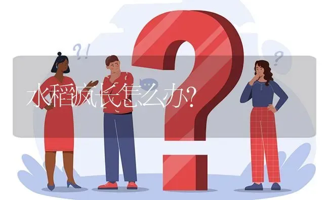 水稻疯长怎么办? | 养殖问题解答