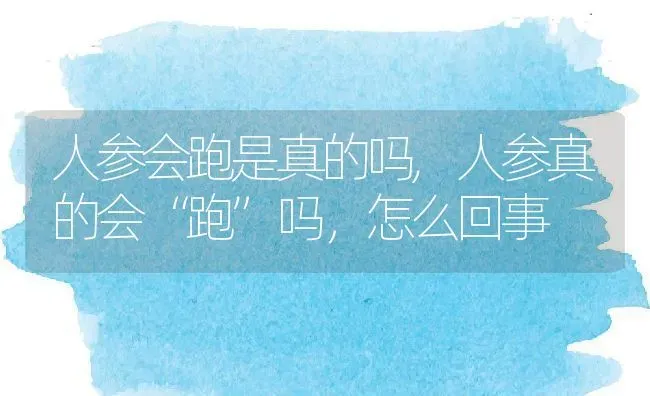 人参会跑是真的吗,人参真的会“跑”吗，怎么回事 | 养殖常见问题