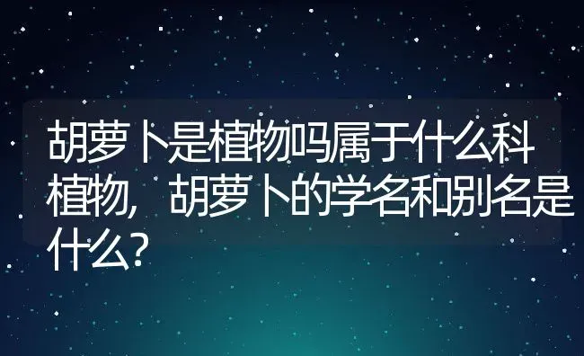 胡萝卜是植物吗属于什么科植物,胡萝卜的学名和别名是什么？ | 养殖常见问题