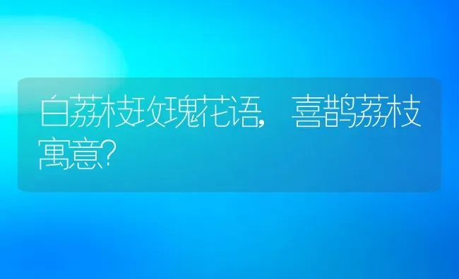 白荔枝玫瑰花语,喜鹊荔枝寓意？ | 养殖常见问题