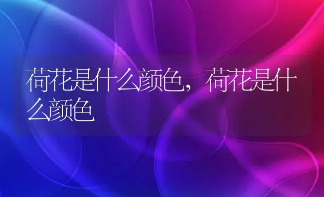 荷花是什么颜色,荷花是什么颜色 | 养殖常见问题