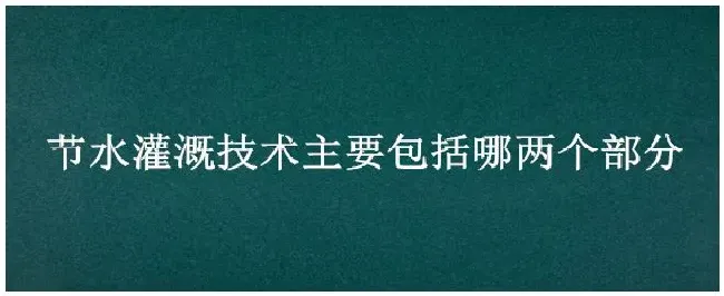节水灌溉技术主要包括哪两个部分 | 农业常识