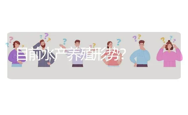 目前水产养殖形势? | 养殖问题解答