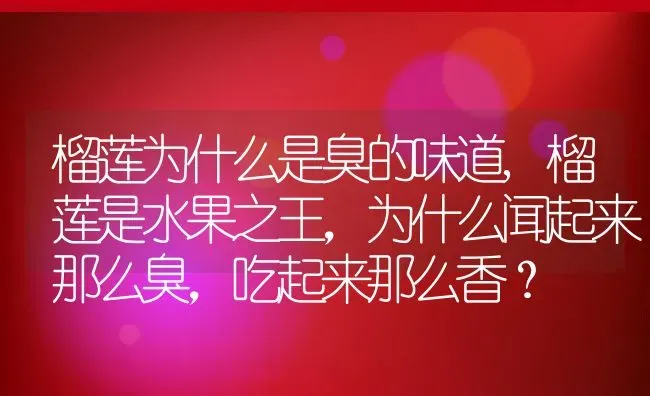 榴莲为什么是臭的味道,榴莲是水果之王，为什么闻起来那么臭，吃起来那么香？ | 养殖常见问题
