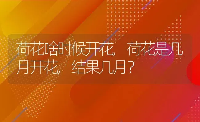 荷花啥时候开花,荷花是几月开花,结果几月？ | 养殖常见问题