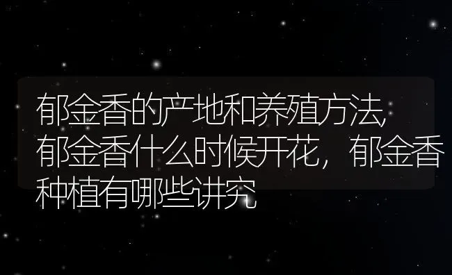 郁金香的产地和养殖方法,郁金香什么时候开花，郁金香种植有哪些讲究 | 养殖常见问题
