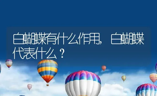 白蝴蝶有什么作用,白蝴蝶代表什么？ | 养殖常见问题