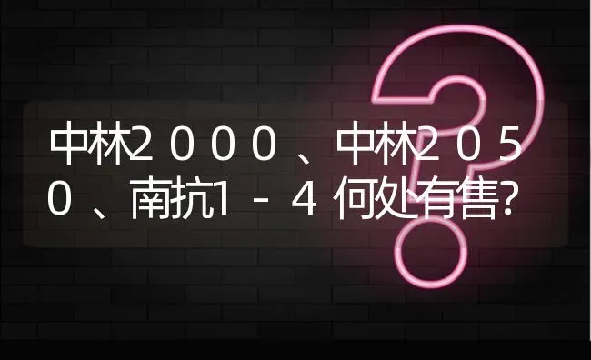 中林2000、中林2050、南抗1-4何处有售? | 养殖问题解答