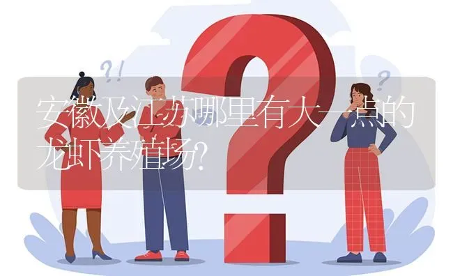 安徽及江苏哪里有大一点的龙虾养殖场? | 养殖问题解答