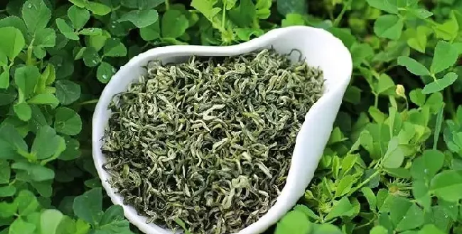 植物常识问题|碧螺春绿茶的功效与作用