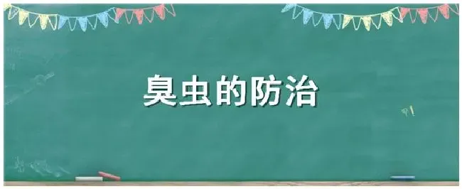 臭虫的防治 | 三农答疑