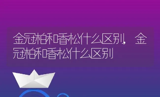 金冠柏和香松什么区别,金冠柏和香松什么区别 | 养殖常见问题