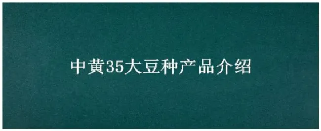 中黄35大豆种产品介绍 | 三农答疑