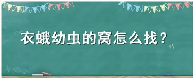 衣蛾幼虫的窝怎么找 | 农业答疑