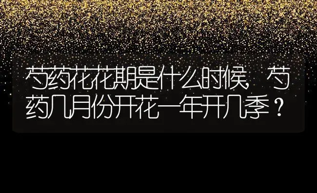 芍药花花期是什么时候,芍药几月份开花一年开几季？ | 养殖常见问题