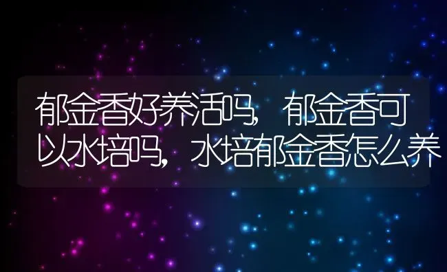 郁金香好养活吗,郁金香可以水培吗，水培郁金香怎么养 | 养殖常见问题